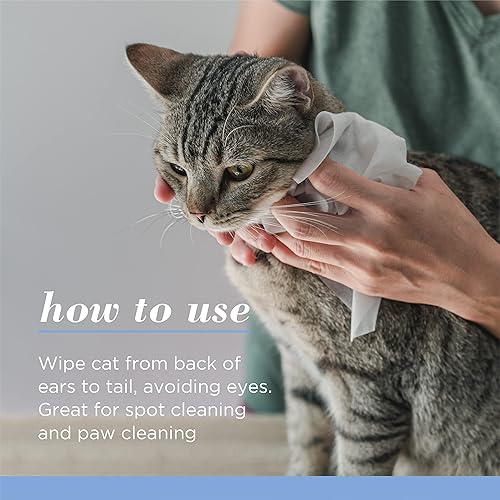 Miniatura 6 de Burt's Bees for Pets Toallitas para gatitos  Toallitas para gatitos para todos los gatos, seguras para gatitos  Sin crueldad, sin sulfatos ni