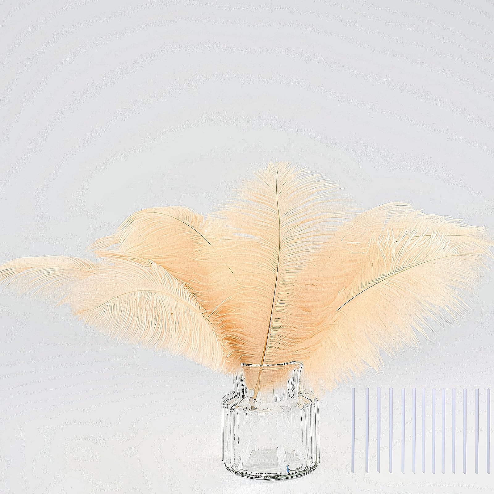 35pcs Natural red Ostrich Feathers Total Length 10-12 inch Craft Feather Making Kit Plume Bulk for Hats Wedding Party Centerpieces,DIY Flower and Home Decoration,Pampas Grass Decor (M?Champagne?)