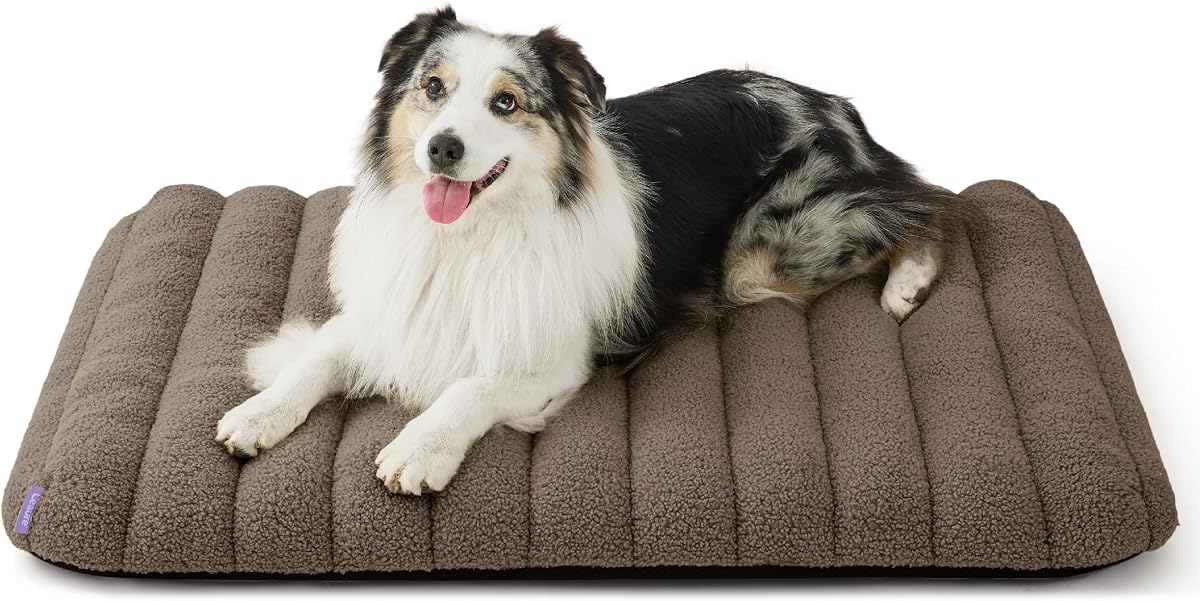 LE SURE Cute Orthopedic Dog Bed Large Sized Dog, Waterproof Chic Flat Pet Beds with Removable Washable Cover, Fuzzy Thick Egg Crate Foam Pet Mat for Indoor Use (36" x 27", Brown)
