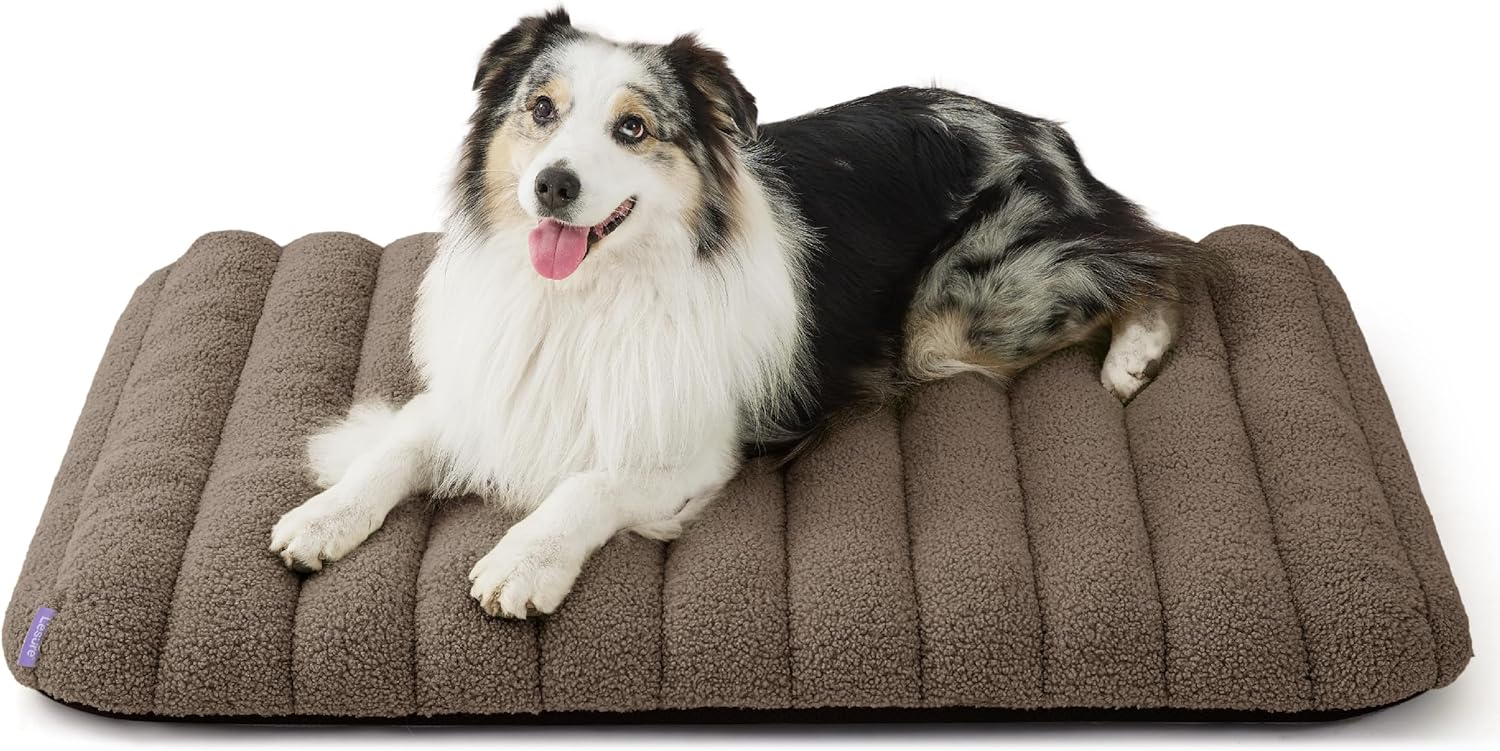 LE SURE Cute Orthopedic Dog Bed Large Sized Dog, Waterproof Chic Flat Pet Beds with Removable Washable Cover, Fuzzy Thick Egg Crate Foam Pet Mat for Indoor Use (36" x 27", Cream)