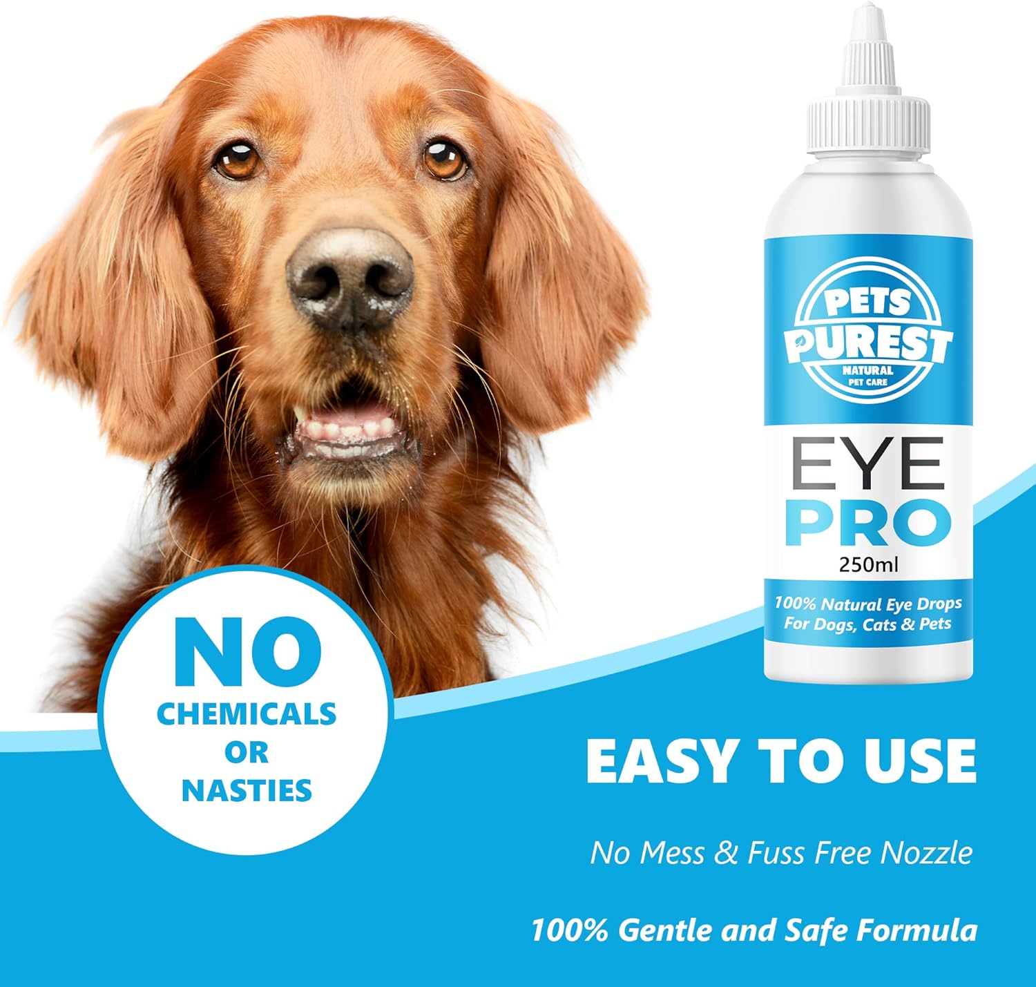 amazon dog eye drops