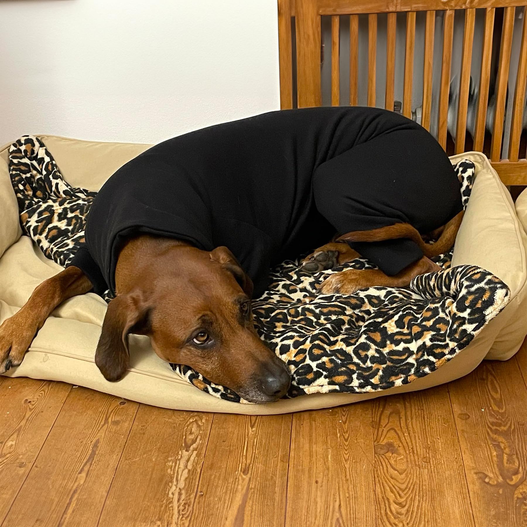 EDEL&SCHNELL Hundepullover warm, Hundemantel aus Baumwolle, Overall für Hunde Größe 65-70, Schwarz mit langem Kragen und Beinen