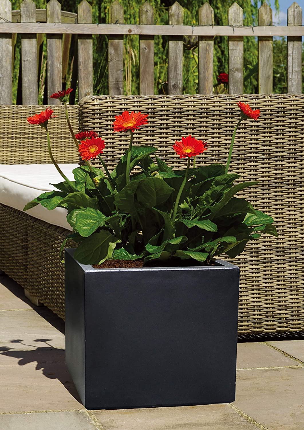 Global Trade & Utility Products Fibreglass Garden Big Size Gamla Gardenix Decor Planter, Size:- Height: 10 Inch, Width: 10 Inch, Length: 10 Inch, Charcoal Black (B0993XS2W9) Amazon Price History, Amazon Price Tracker