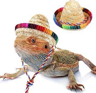 Bearded Dragon Sombrero Hats, Bearded Dragon Clothes Accessories Lizard Straw Hat with Adjustable Chin Strap Small Pet Hat Lizard Costume for Reptile Ferret Hamsterleopard Gecko Snake Guinea Pig Pet