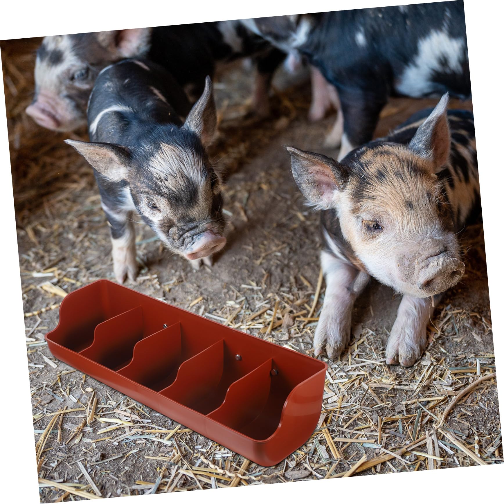 VICASKY Hängende Futterkrippe aus Verdicktem Pp Kunststoff mit 5 Fächern für Schweine und Nutztiere dem Bauernhof Große Kapazität und Hohe Verschleißfestigkeit