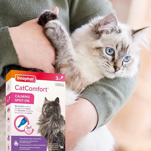 Foto 8 de 8 de Beaphar - CatComfort Pipetas Antiestrés para Gatos, con Feromonas para Gatos, Reduce Estrés y Ansiedad…