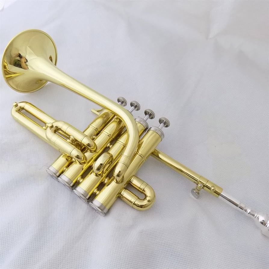 81QLZsEll7L._AC_UF894, 81QLZsEll7L._AC_UF894,