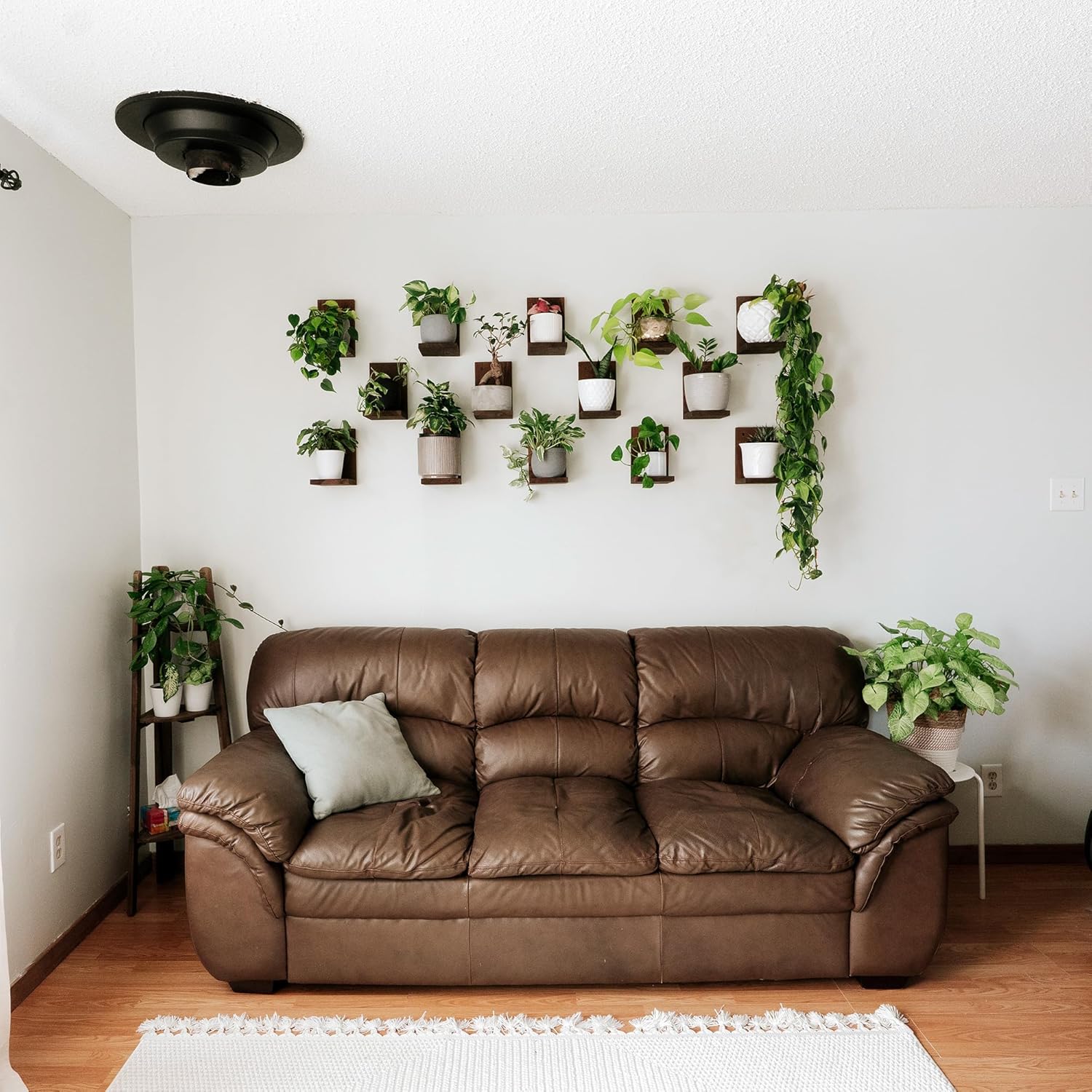 Daniel's Plants 3 Pack Midcentury Modern L Shaped Floating Shelves | Wall Mounted Plant Shelf Kit | Solid Wooden Shelf | 3 Shelves (Woodland Brown)