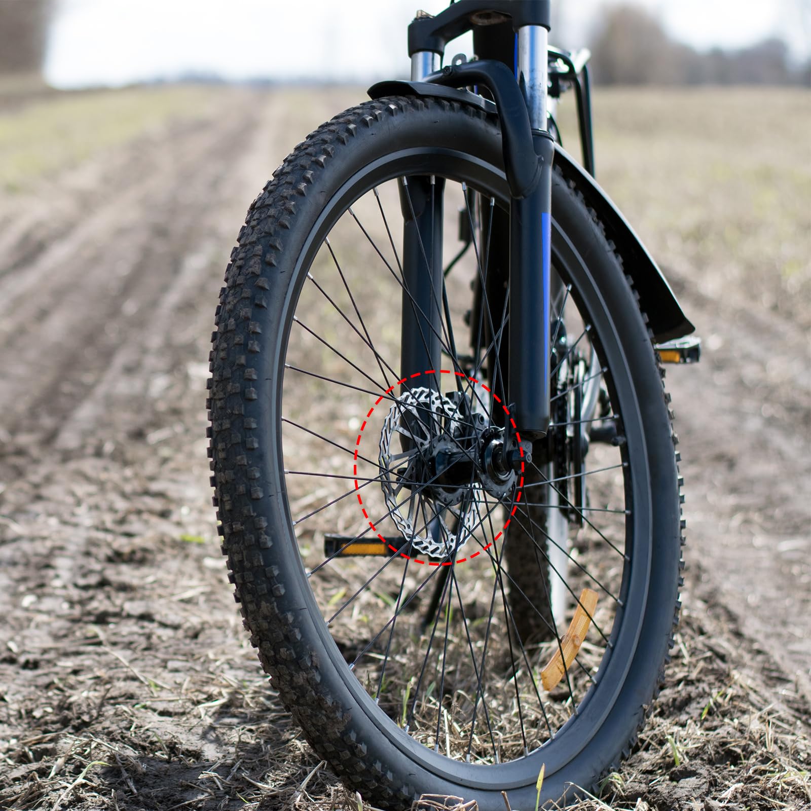PATIKIL Cuscinetto a Sfera per Pedivella Bici 1/4" x 9 Sfere, 4pz Cuscinetti Bicicletta in Acciaio Inossidabile Ricambi Accessori per Movimento Centrale Bici Montagna Strada, Argento