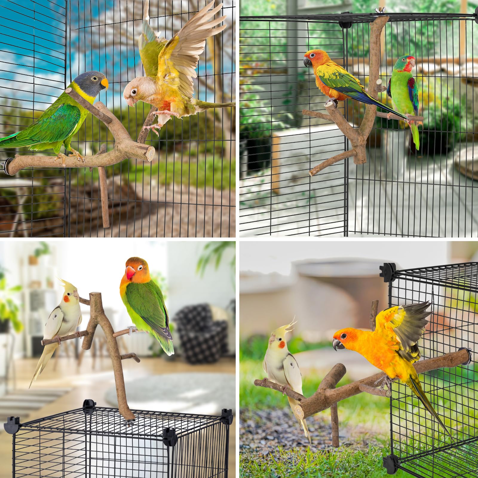 Bird Perch Stand, Natural Vitex Negundo Wood Parrot Perch Bird Cage Branch Perch, Accessories for Parakeets, Cockatiels, Conures, Macaws, Finches, LoveBirds (12