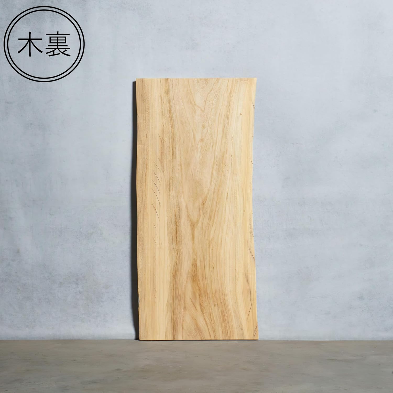 分譲式コーポラティブ住宅マニュアル 分譲収支予測計算ソフト付き