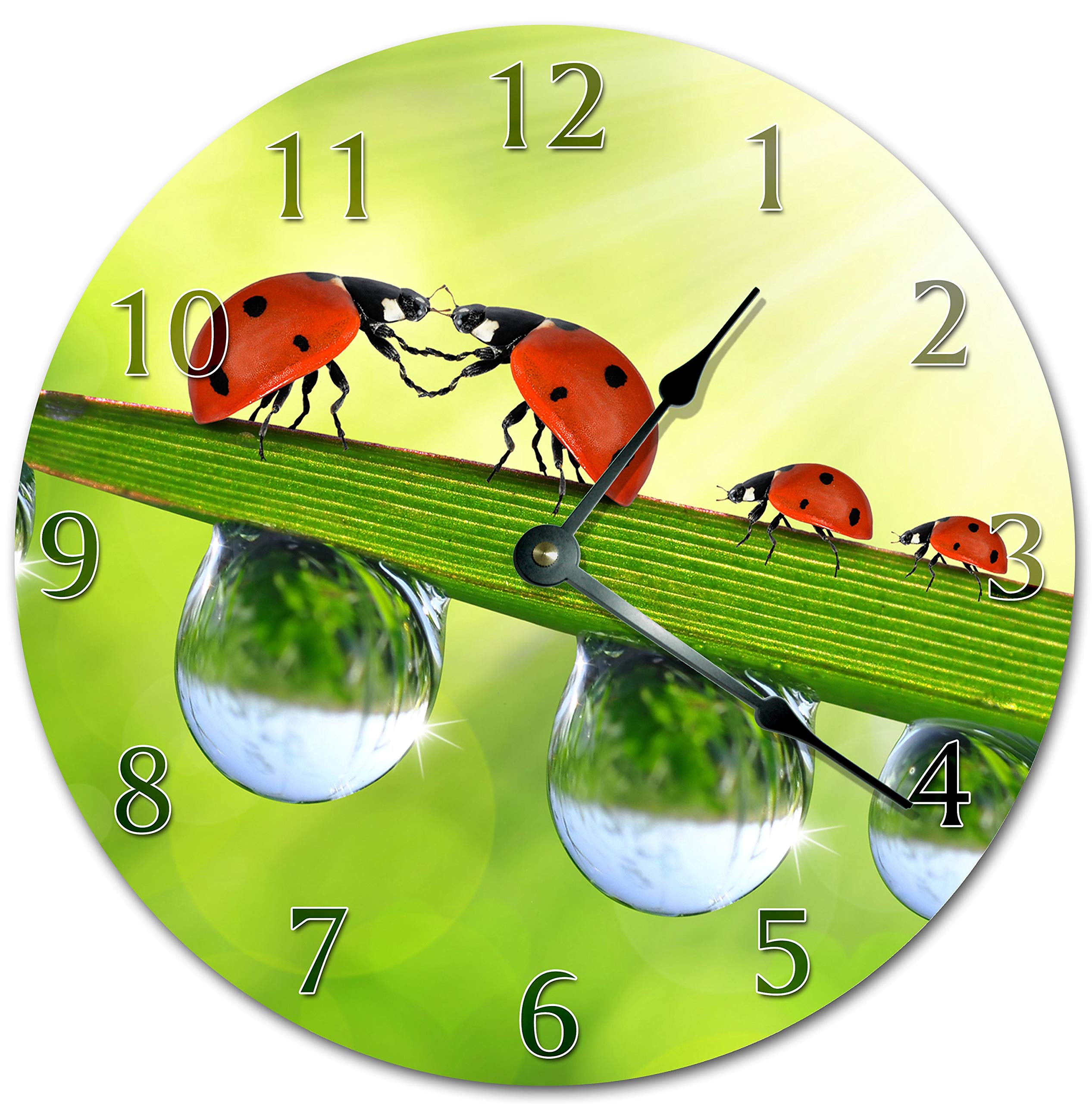 Bug and Water Drop Clock Large Modern Wooden Round Clock Silent Non Ticking Battery Operated Clock Home Decor Living Room 12 Inch Personalized Gift Custom Clock for Friend Parent Family