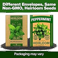 Vista 98 de HOME GROWN Más de 1000 semillas de cilantro para plantar en interiores o exteriores, hierbas tradicionales sin OMG, semillas de plantas de cilantro