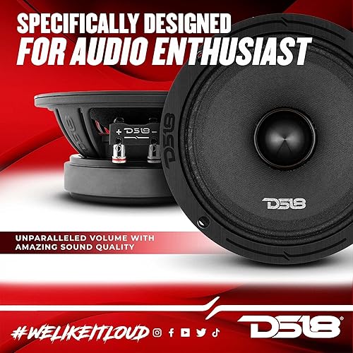 Miniatura 3 de DS18 PRO-ZXI6.4BM - Altavoz de audio profesional de rango medio de 6.5 pulgadas, 600 W máximo, 300 W RMS, 4 ohmios, altavoces de puerta de audio