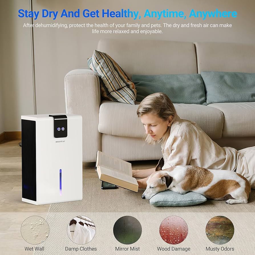 Amazon | 部屋用除湿機 94オンス ポータブル除湿機 家庭用 800