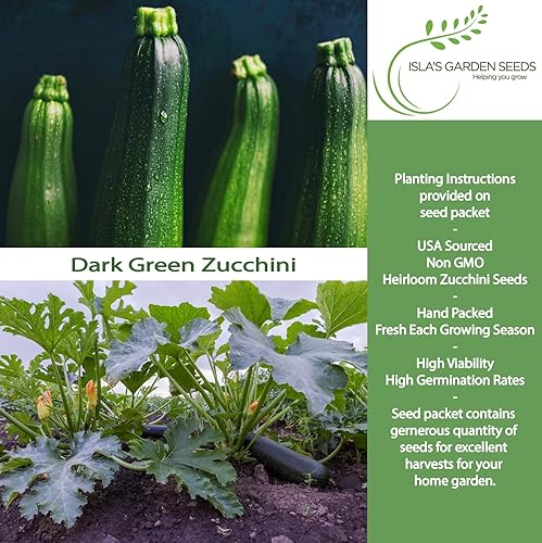 Miniatura 2 de Semillas de calabaza de verano de calabacín verde oscuro para plantar, más de 50 semillas tradicionales por paquete, semillas de jardín de Isla