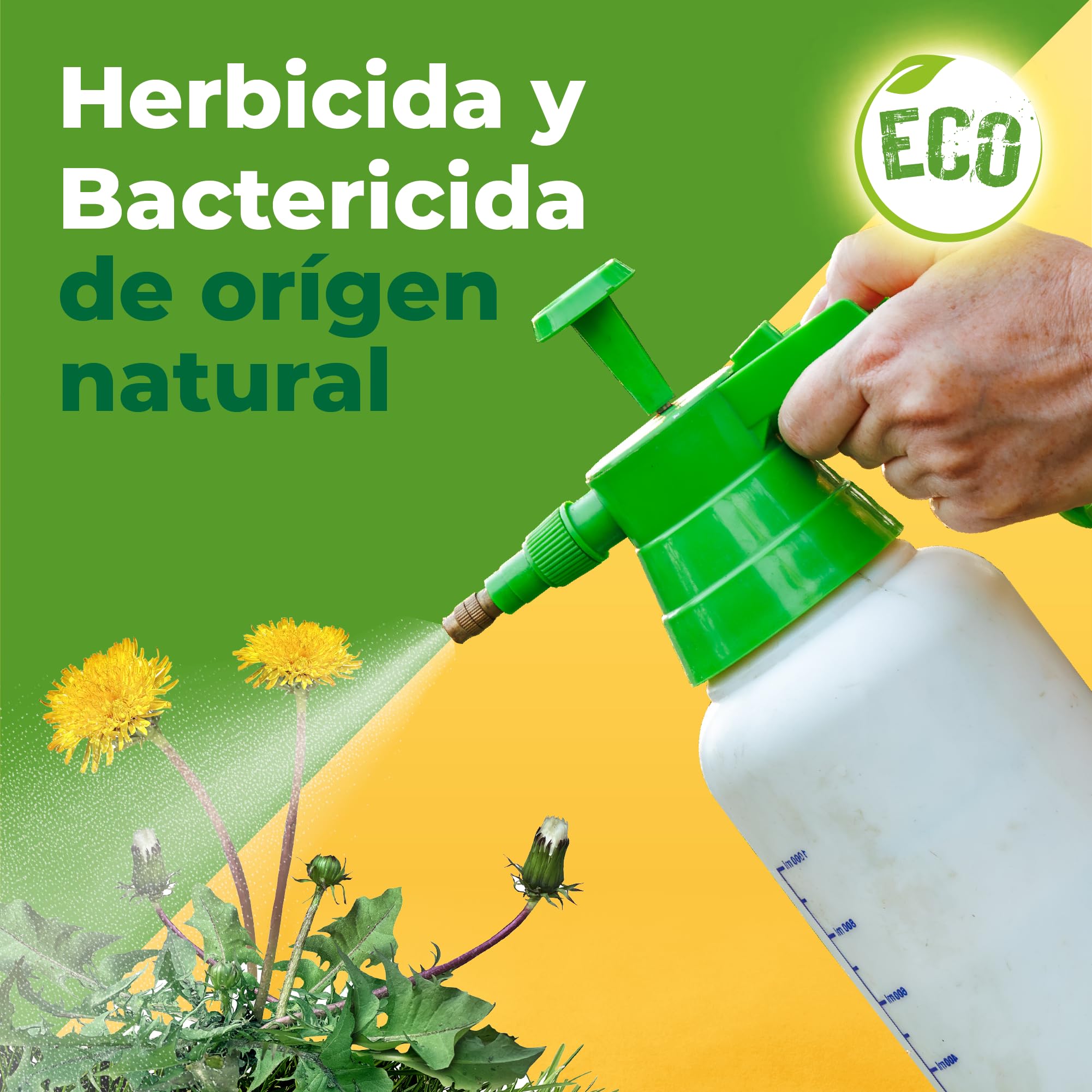 Solabiol, herbicida orgánico completo listo para usar, herbicida para malas hierbas y musgo con efecto desecante, ideal para calzadas y bordes, 3L