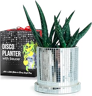 SCANDINORDICA Disco Ball Planter Pot - 4.3 inch Mirror Disco Ball Vase, ...