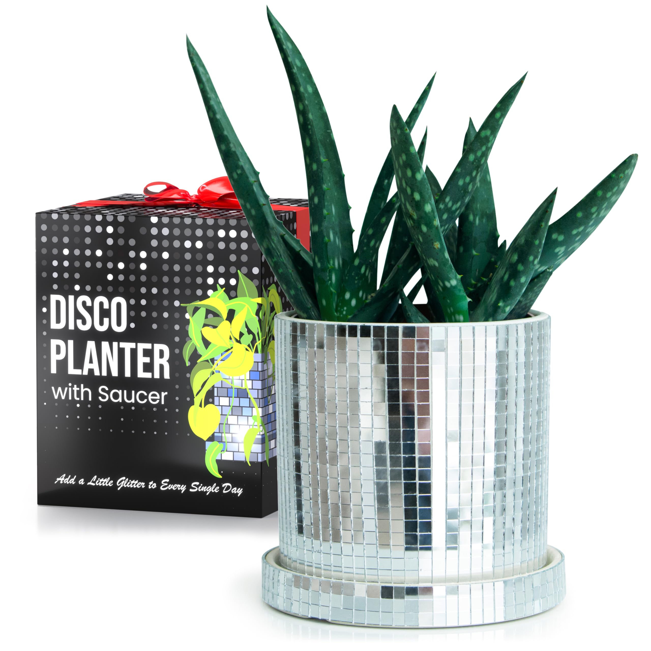 SCANDINORDICA 4.3 inch Disco Ball Planter
