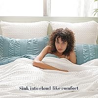 Vista 2 de PHF - Paquete de 2 fundas de almohada de 100% algodón, punto gofre, sin relleno, elegantes fundas decorativas para cama, sillón y sofá, 26 x 26