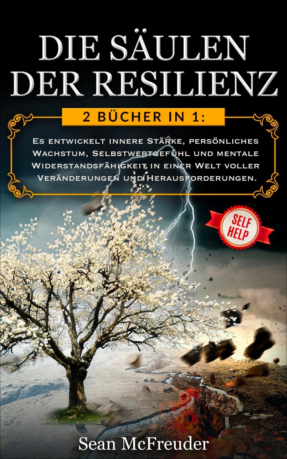 DIE SÄULEN DER RESILIENZ: 2 Bücher in 1: Es entwickelt innere Stärke, persönliches Wachstum, Selbstwertgefühl und mentale Widerstandsfähigkeit in einer ... und Herausforderungen. (German Edition)