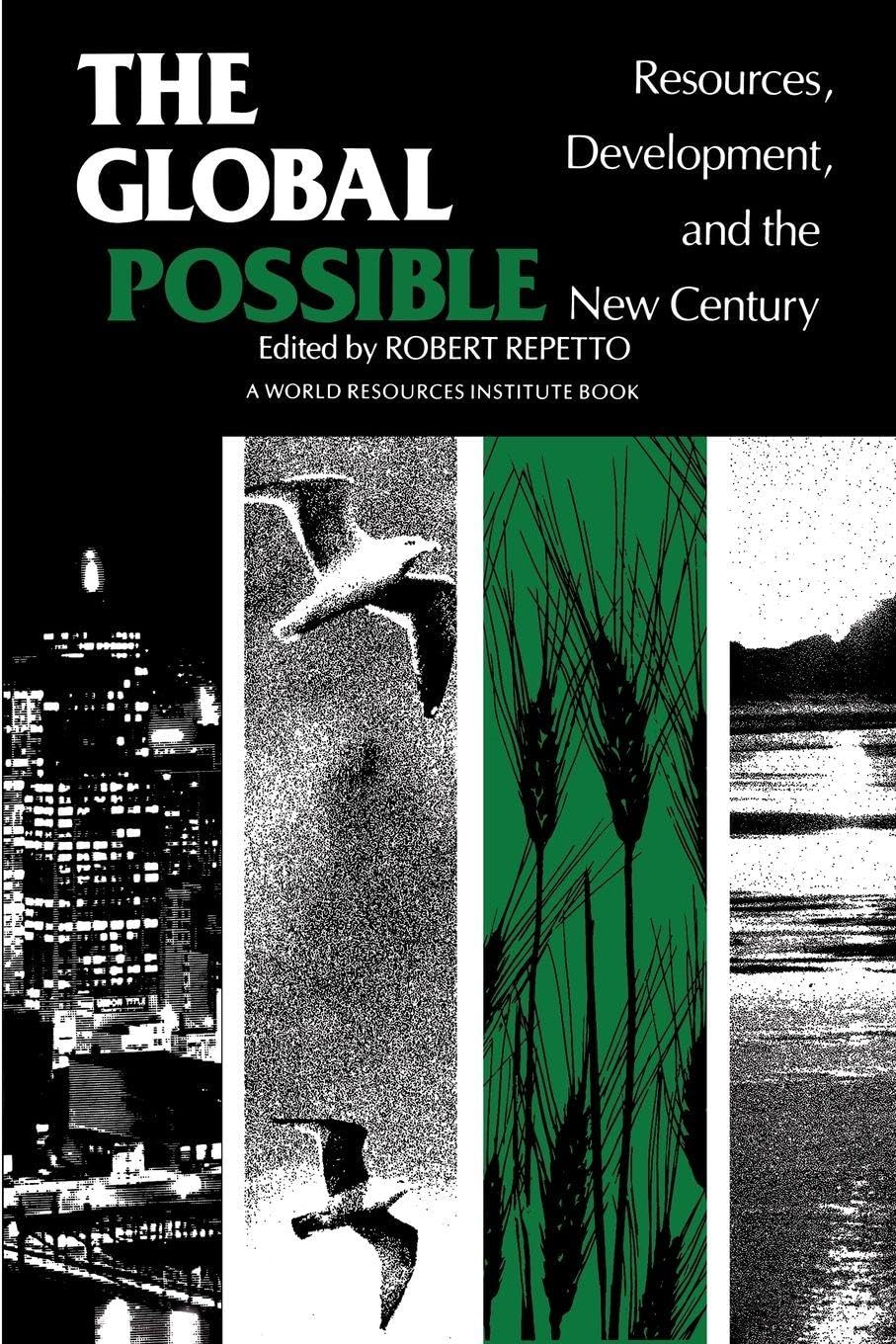 The Global Possible: Resources, Development, and the New Century (World Resources Institute Book)