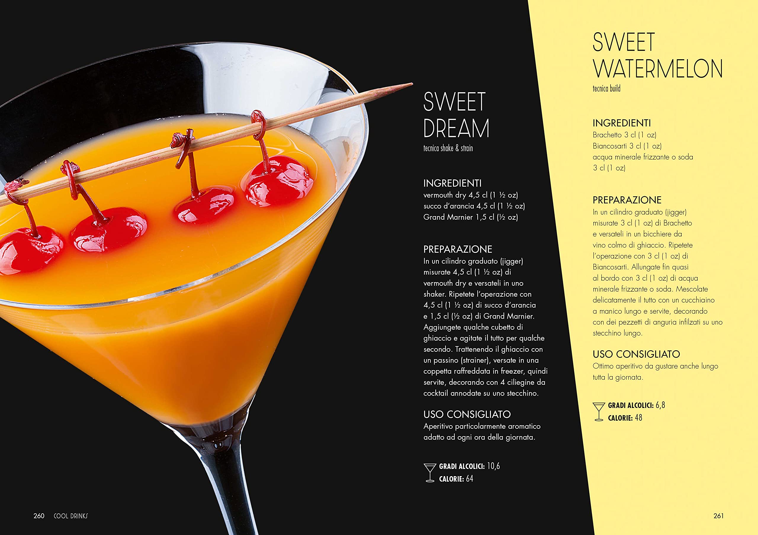 Mix & shake. Cocktail classici e moderni per ogni occasione