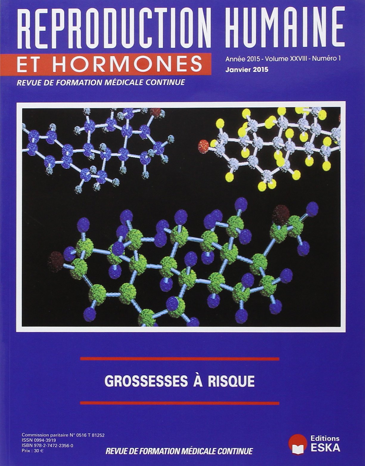 REVUE RHH 1 2015 GROSSESSE A RISQUE
