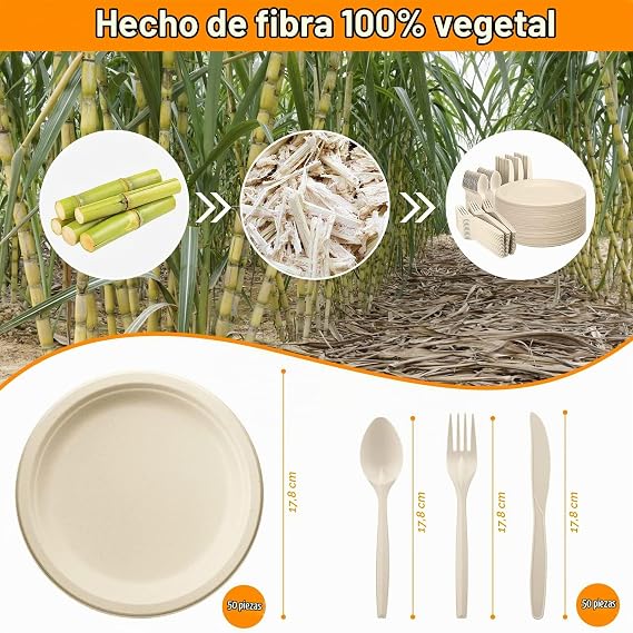 Disposable Plates 200PCS Includes 50 Plates, Forks, Knives and Spoons