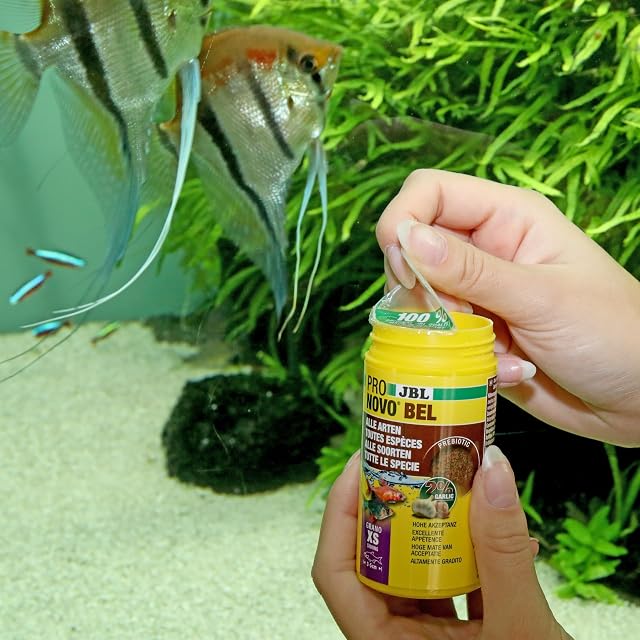Foto 5 de 6 de JBL PRONOVO BEL Grano, alimento Principal para Todos los Peces de Acuario de 3-5 cm