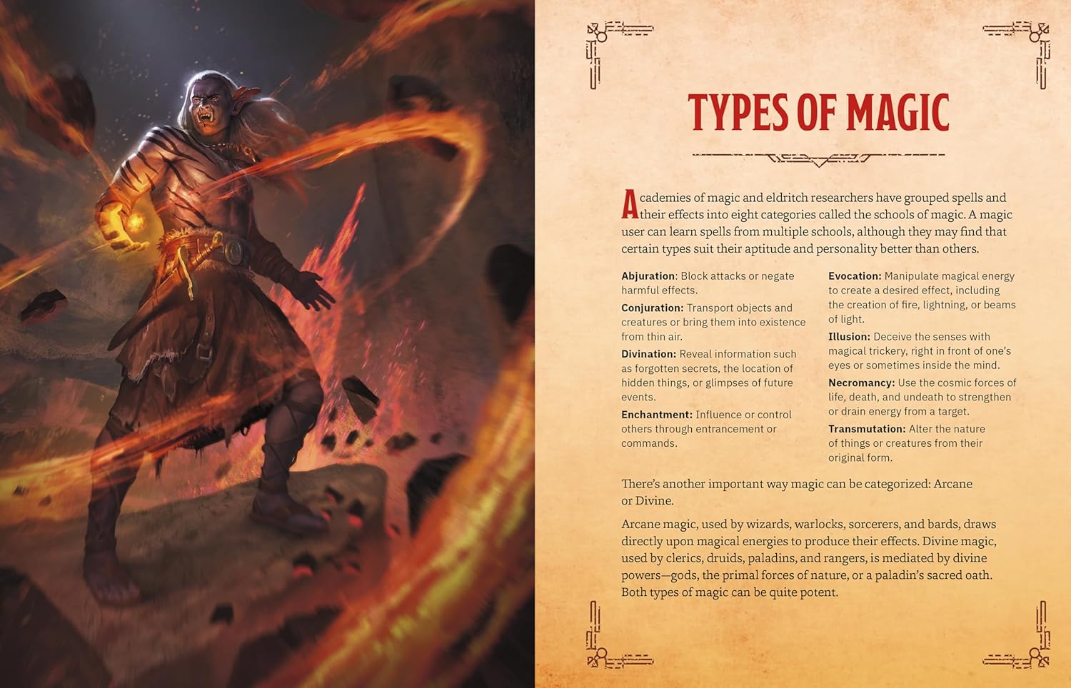 The Warriors & Wizards Compendium (Dungeons & Dragons): A Young Adventurer's Guide