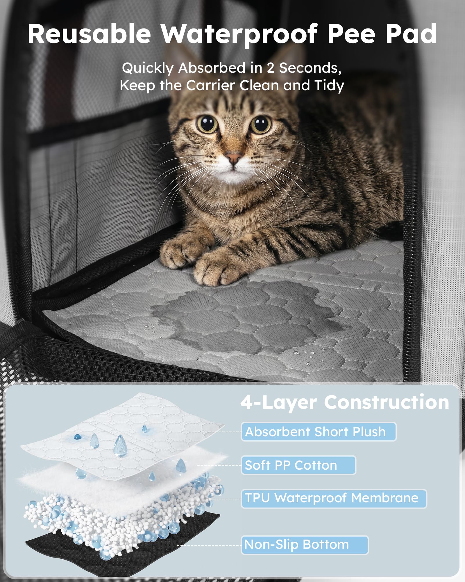 Pecute Transportín para Gatos Expandible, Extensión Superior, Estable y Transpirable