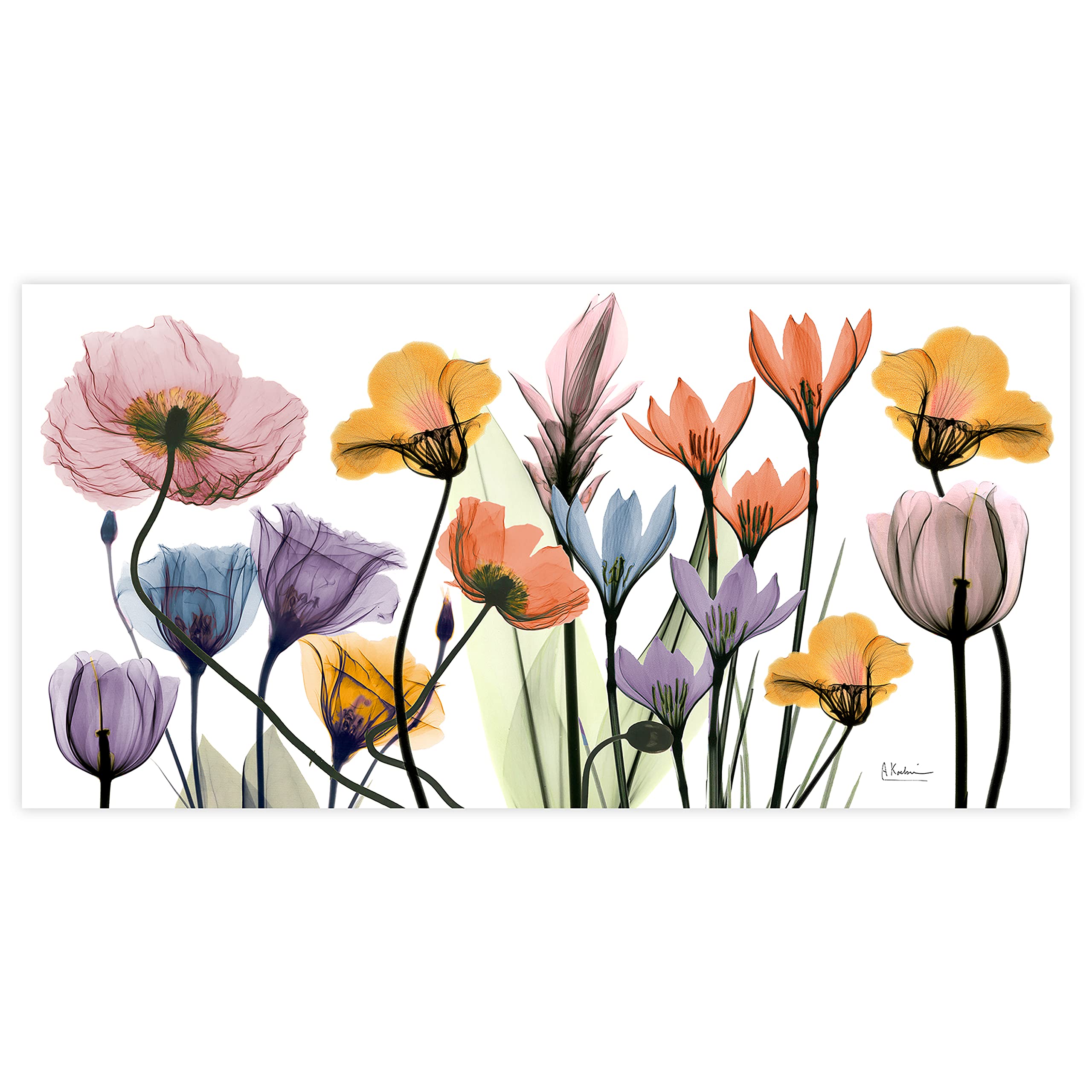 Empire Art Direct Frameless Tempered Glass Panel, 24' x 48'