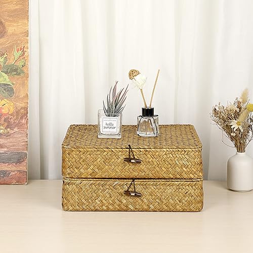 Miniatura 2 de BTSKY Paquete de 2 cestas de mimbre con tapas, contenedores de almacenamiento tejidos planos para organizar estantes, cestas de almacenamiento de