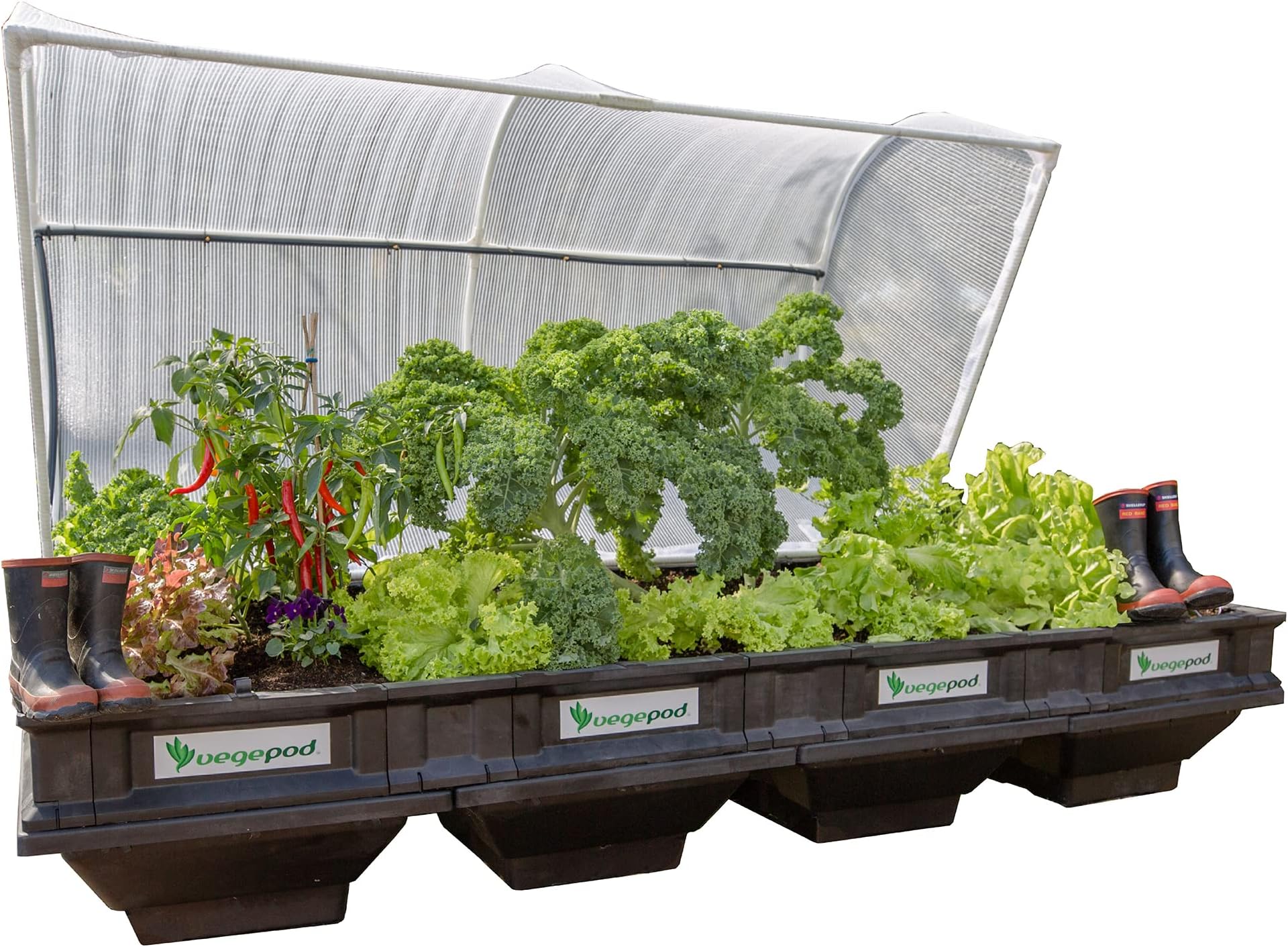 vegepod Iron, Plastic Vegepod - Raised Garden Bed - Self Watering Container Garden Kit with Protective Cover, Easily Elevated to Waist Height, 10 Years Warranty (Large), 1 Meters