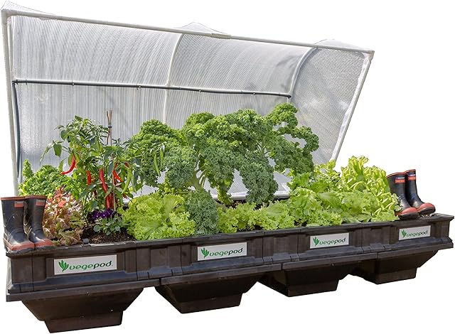 Vegepod - Raised Beds for Vegetable Garden - Self Watering Planter with Protective Cover, Easily Elevated to Waist Height, 2 Years Warranty - Large (Vegepod)
