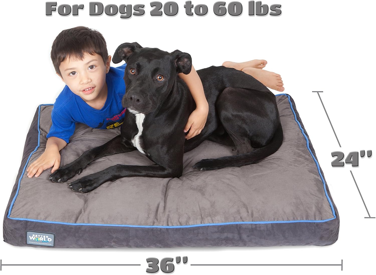 better world dog beds