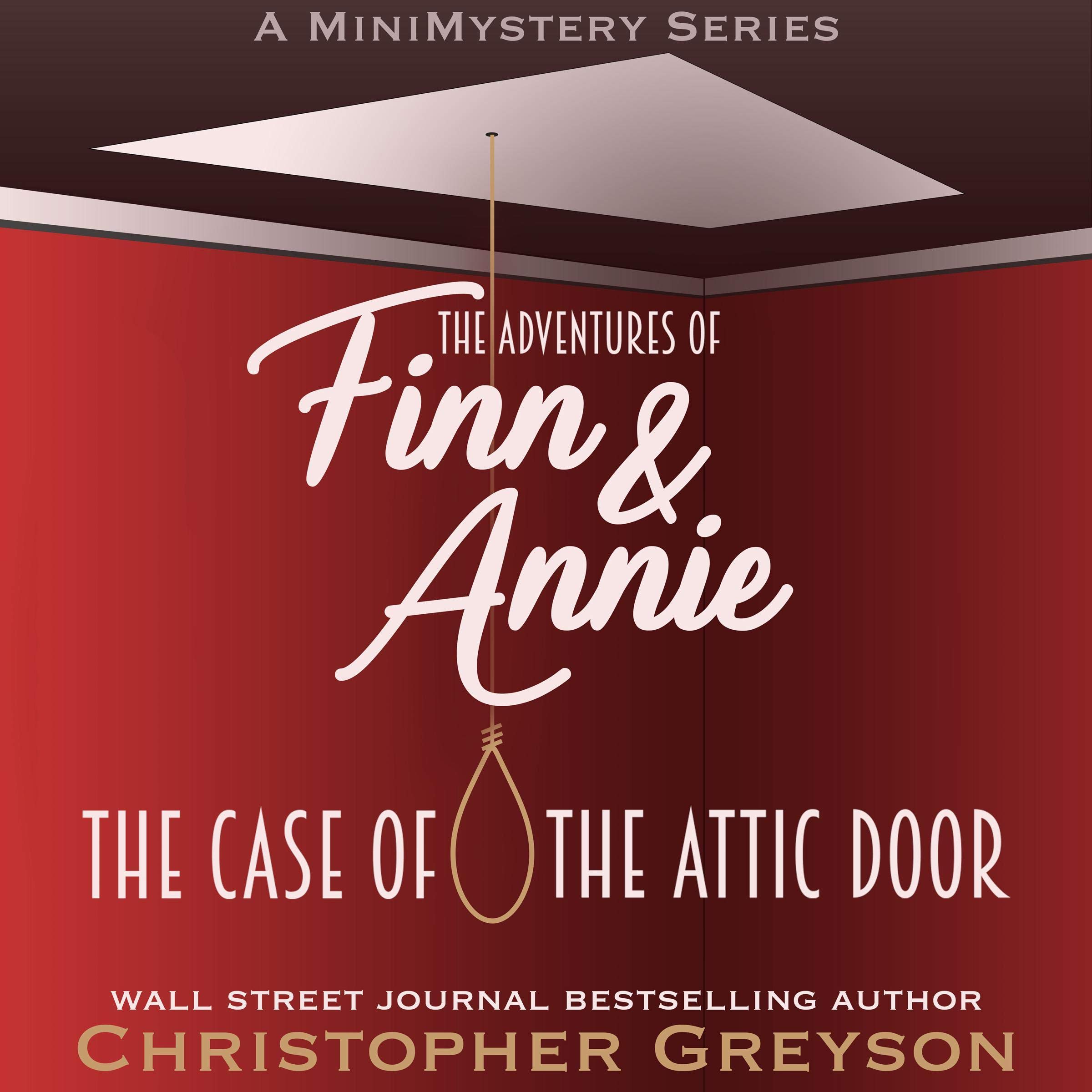 Cover art for The Case of the Attic Door