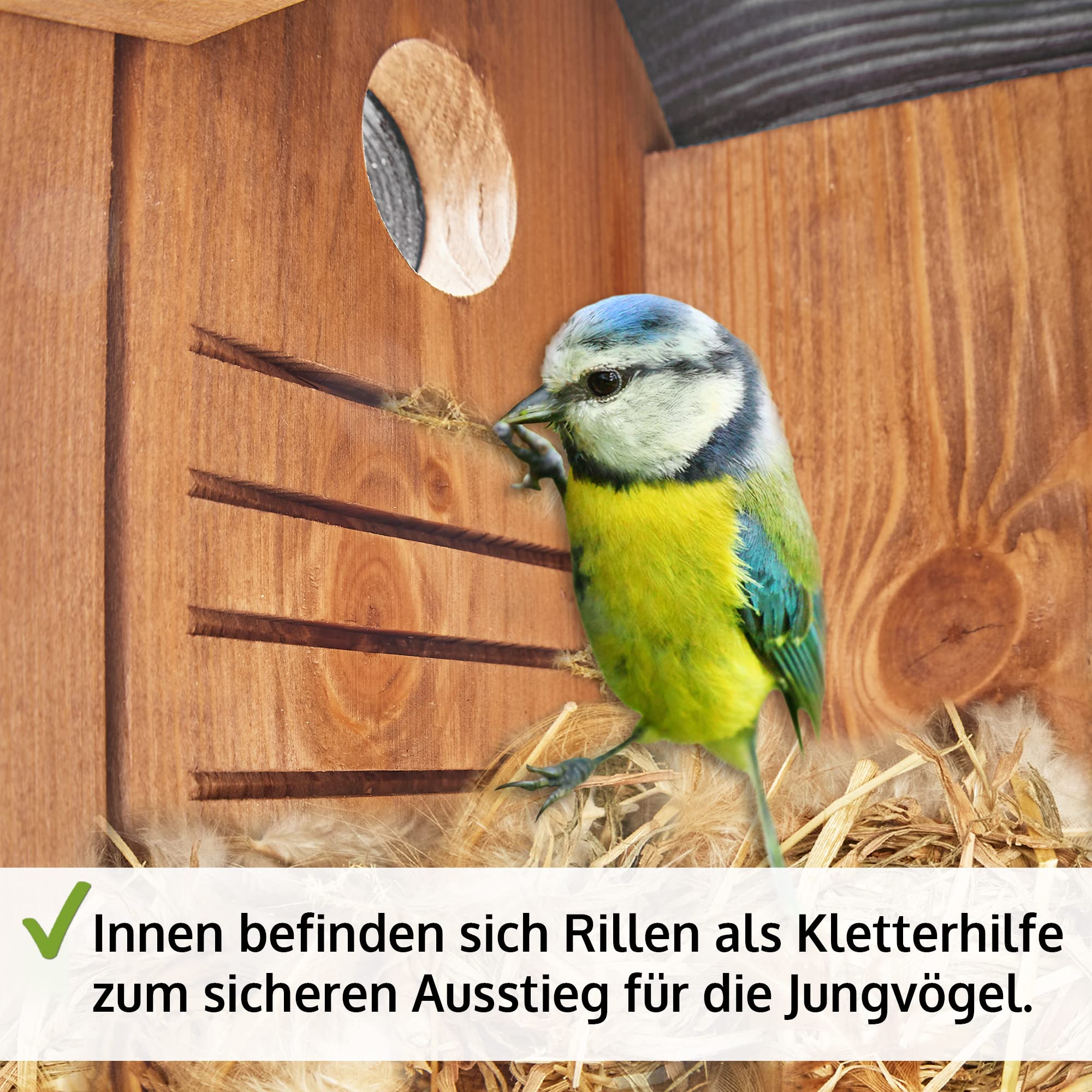 zooprinz Stabiler Nistkasten für Wildvögel/Gartenvögel - mit sicherem Schutz gegen Nesträuber – witterungsbeständig und langlebig für draußen – Nistkasten