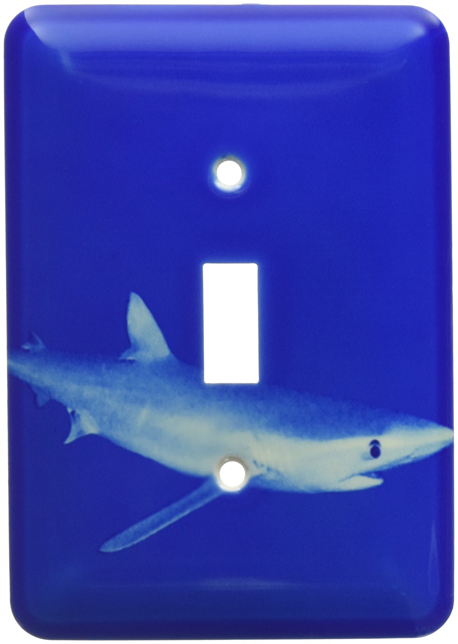 Rénover interrupteur terne avec plaque bascule requin bleu 3dRose - 2