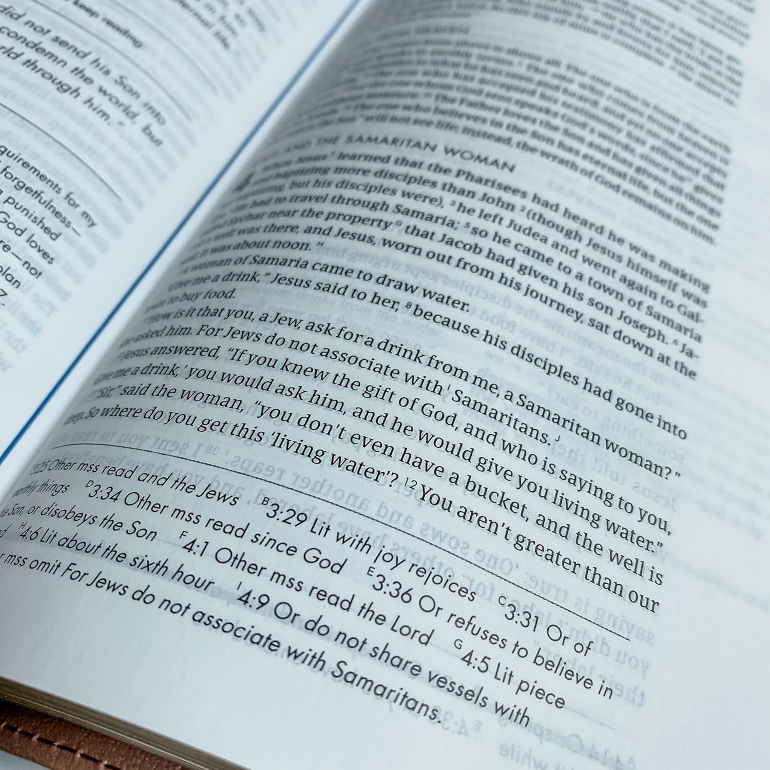 Personalized CSB She Reads Truth Bible, Rose Gold Color, Option to Customize with Hand Lettered Name, 9781535970990