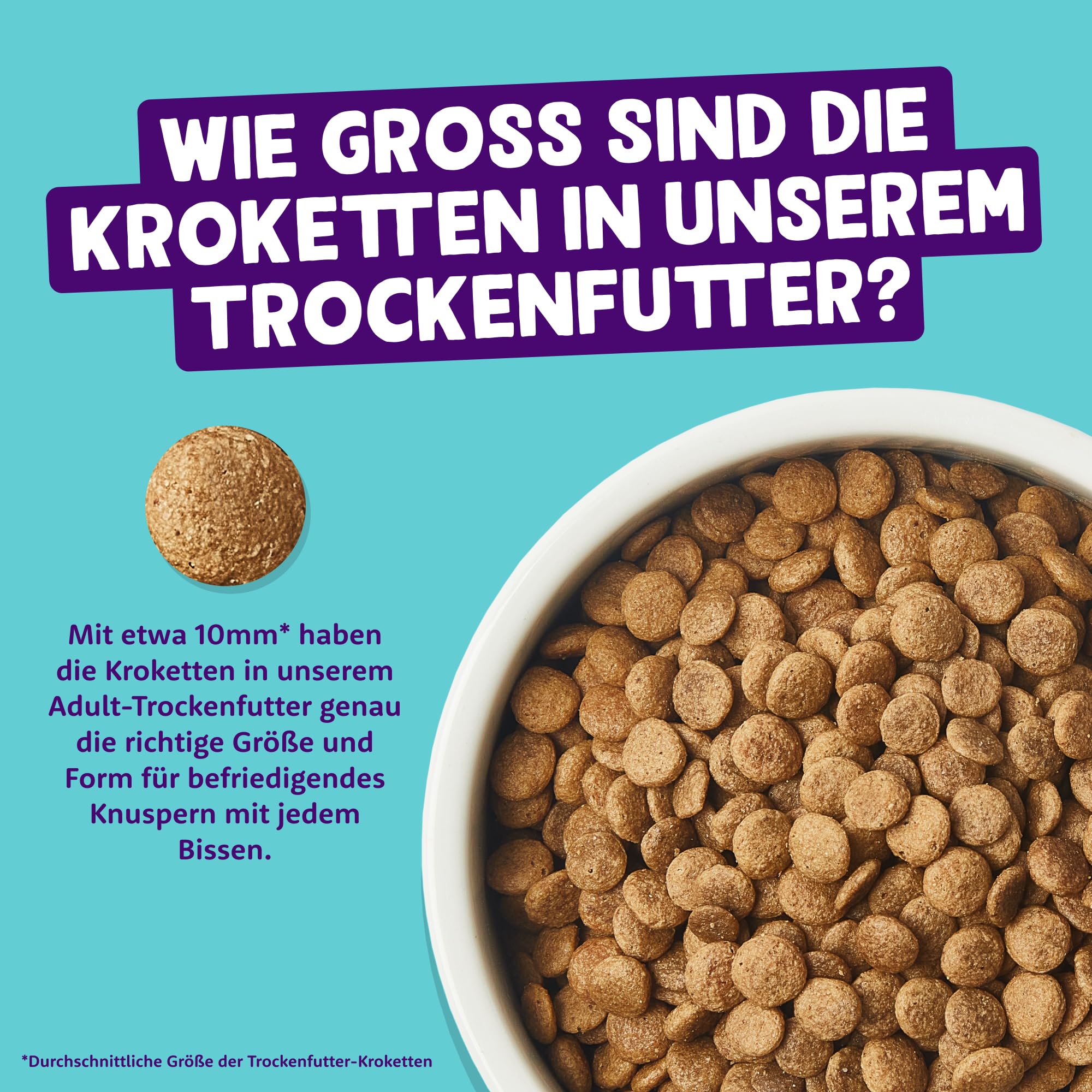 Edgard & Cooper Katzenfutter, Trockenfutter für Katzen, (Lachs, 2kg), Getreidefrei, voll von frischem Fisch und natürlichen Zutaten, geeignet für sterilisierte und aktive Katzen