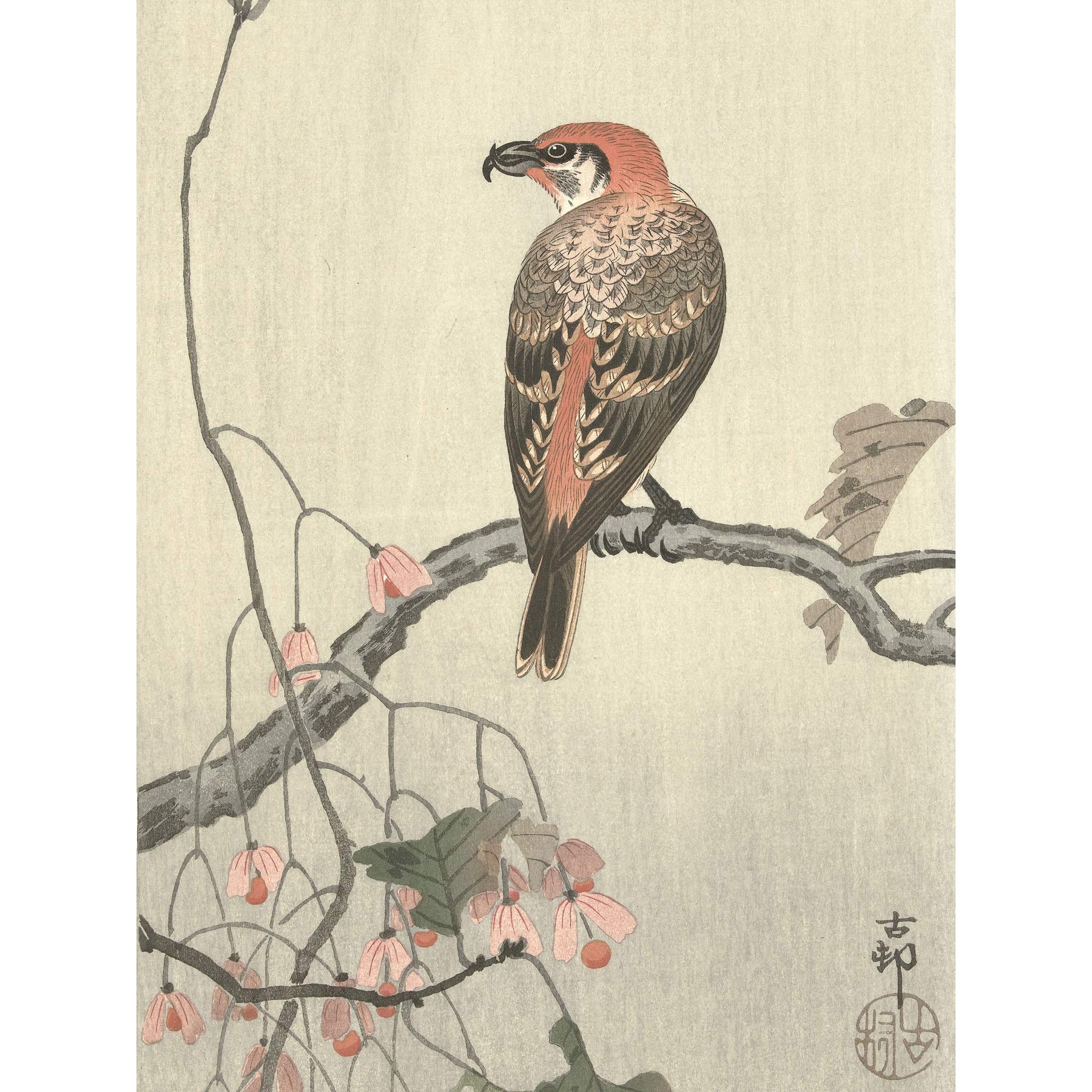 Artery8 Ohara Koson Crossbill On Tree Branch Japanese Premium Wall Art Canvas Print 18X24 Inch