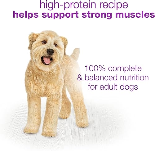 Miniatura 10 de Beneful Purina Wet Dog Food Variety Pack