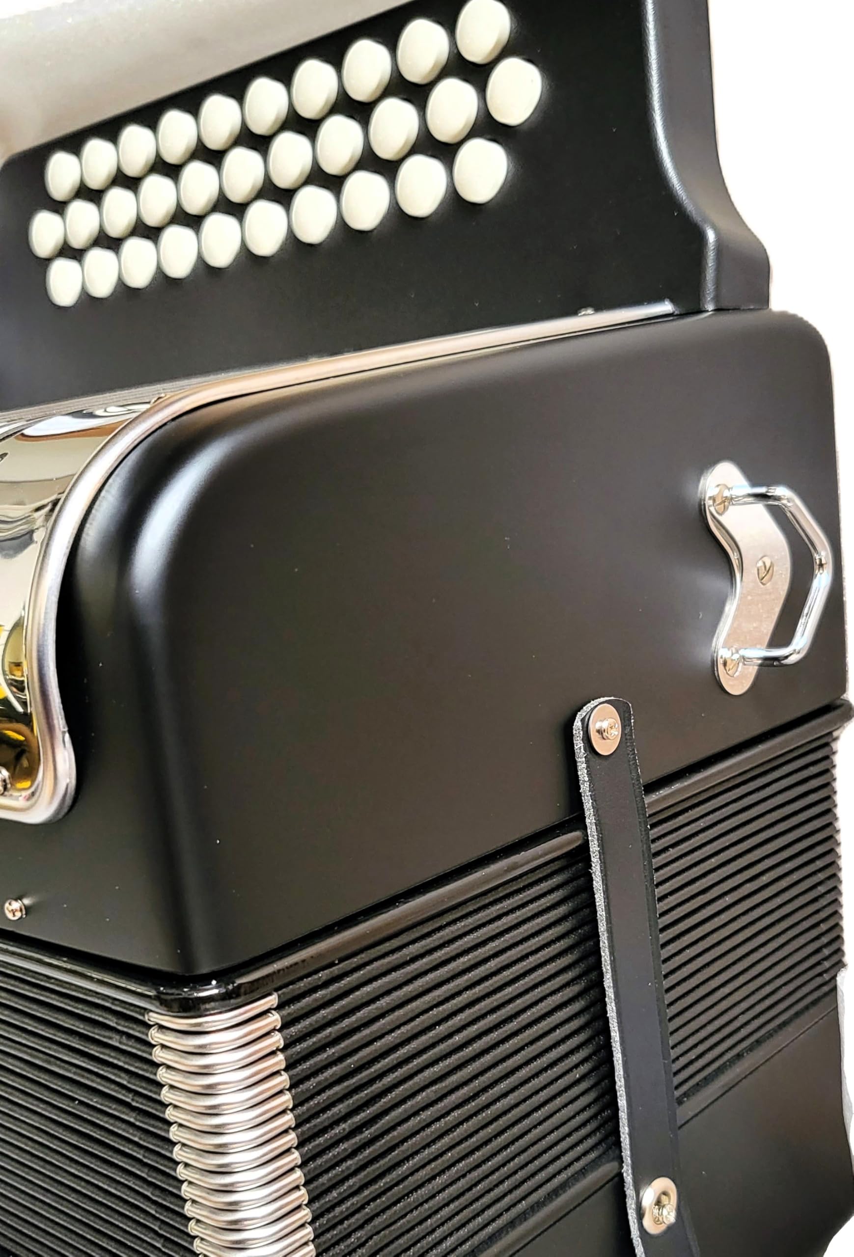 Amazon.com: Hohner Panther GCF Diatonic Accordion, Matte Black