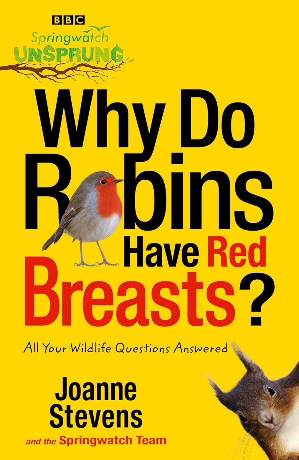Springwatch Unsprung Why Do Robins Have Red Breasts? UK ed., Stevens