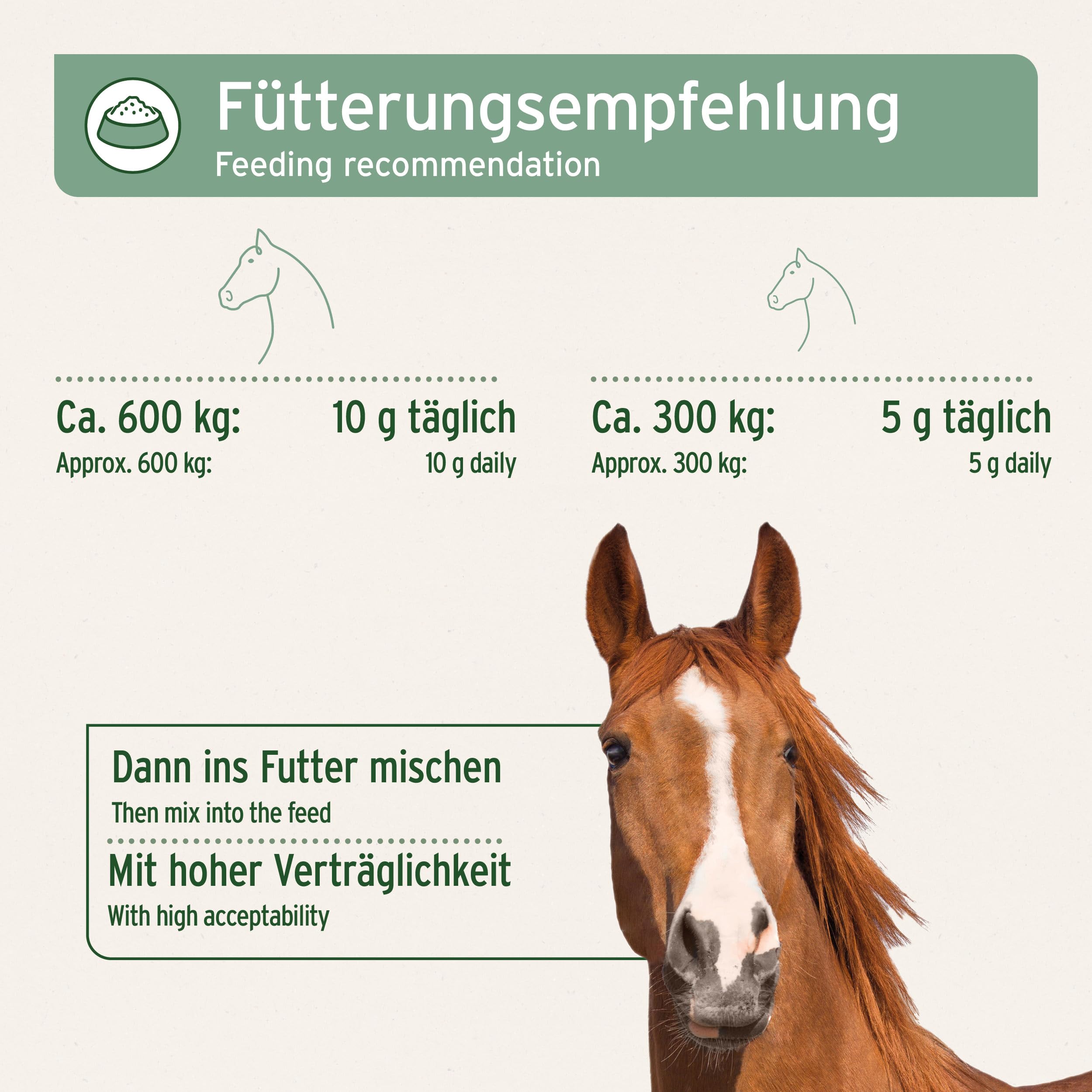 AniForte MSM Pulver für Pferde 1,5 kg – Hochreines Methylsulfonylmethan, Hochdosiert mit Reinheitsgrad 99,94%, organischer Schwefel als Gelenkpulver, höchste Qualität