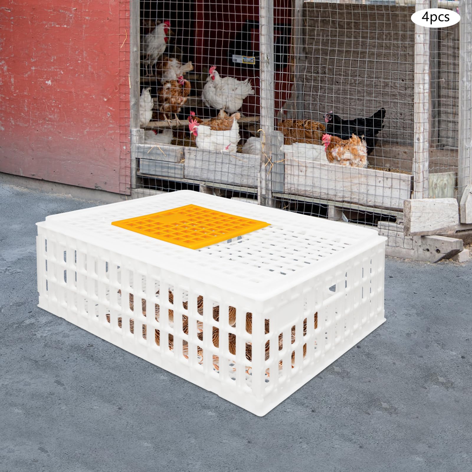 Lot de 4 caisses de transport pour volaille 77 x 55,5 x 27 cm - Avec porte coulissante et poignées de transport - Capacité de charge de 200 kg - Extra robuste - Pour volaille, poulet, canard, oie