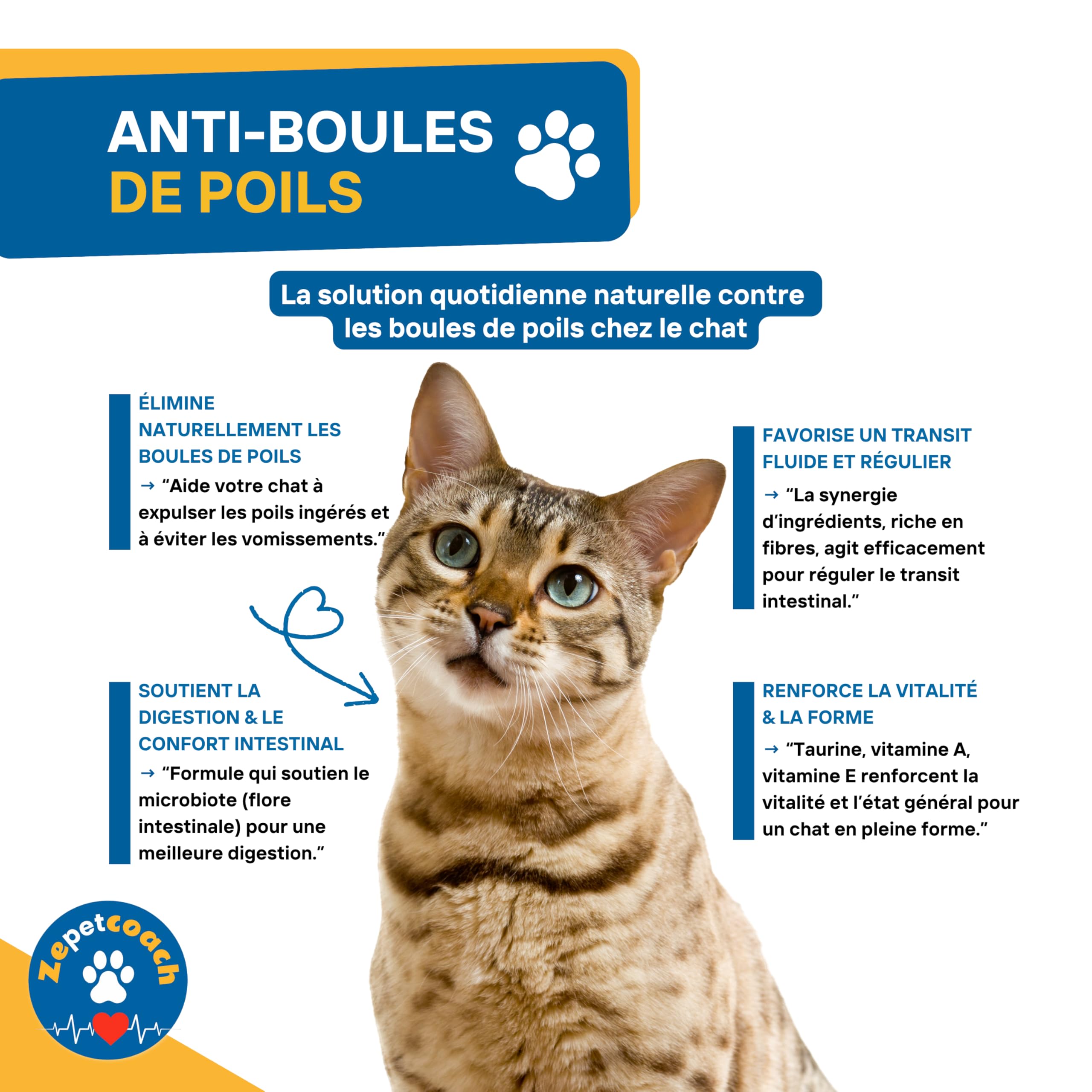 Complément Chat Anti Boules de Poils – Trichobézoards – Transit et Digestion Optimale – Constipation – Psyllium, Taurine, Chicorée – Naturel, Saveur Volaille – 250g