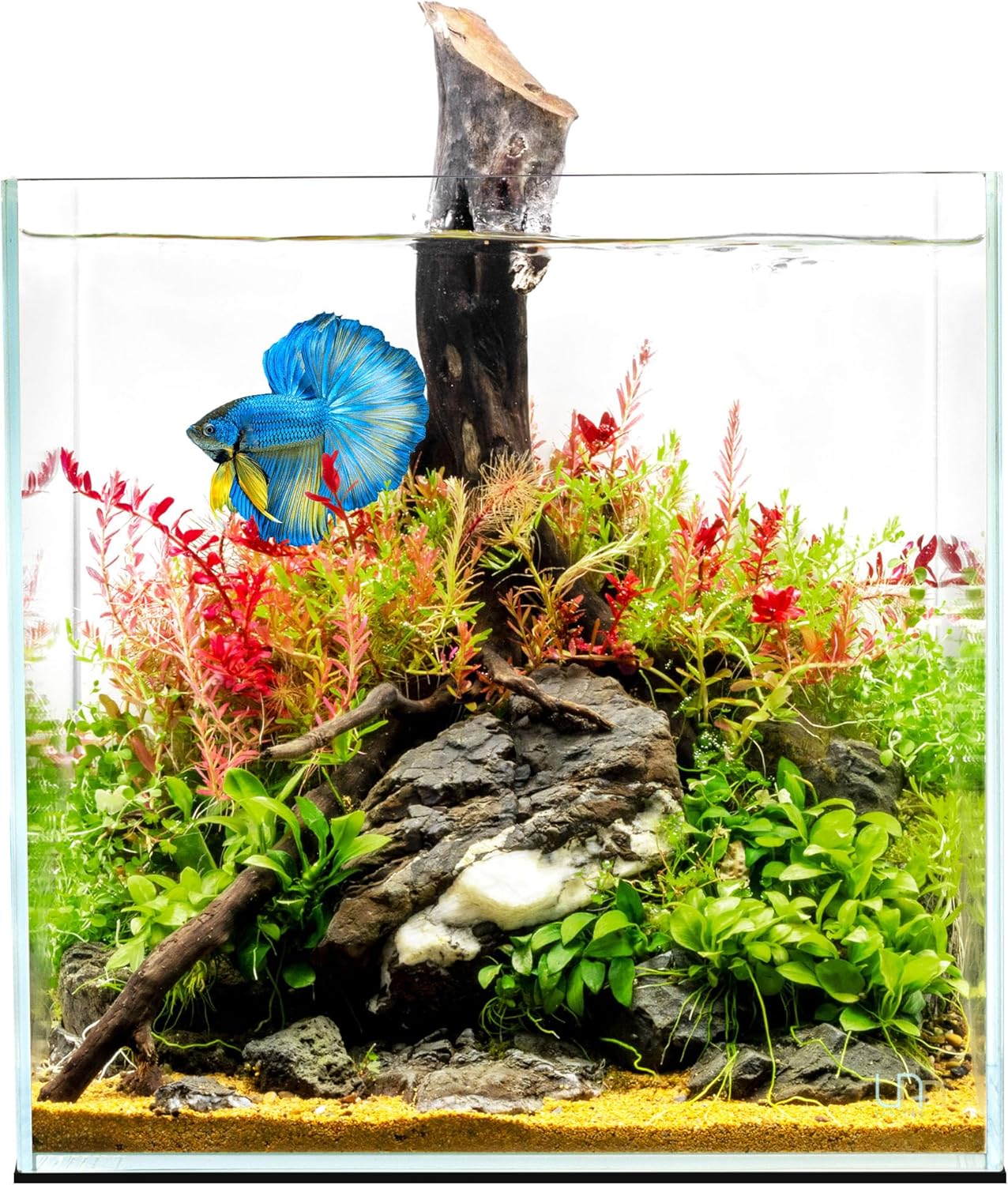 UNS Ultra Clear Rimless Tank 16.9GAL, 40x40x40 cm